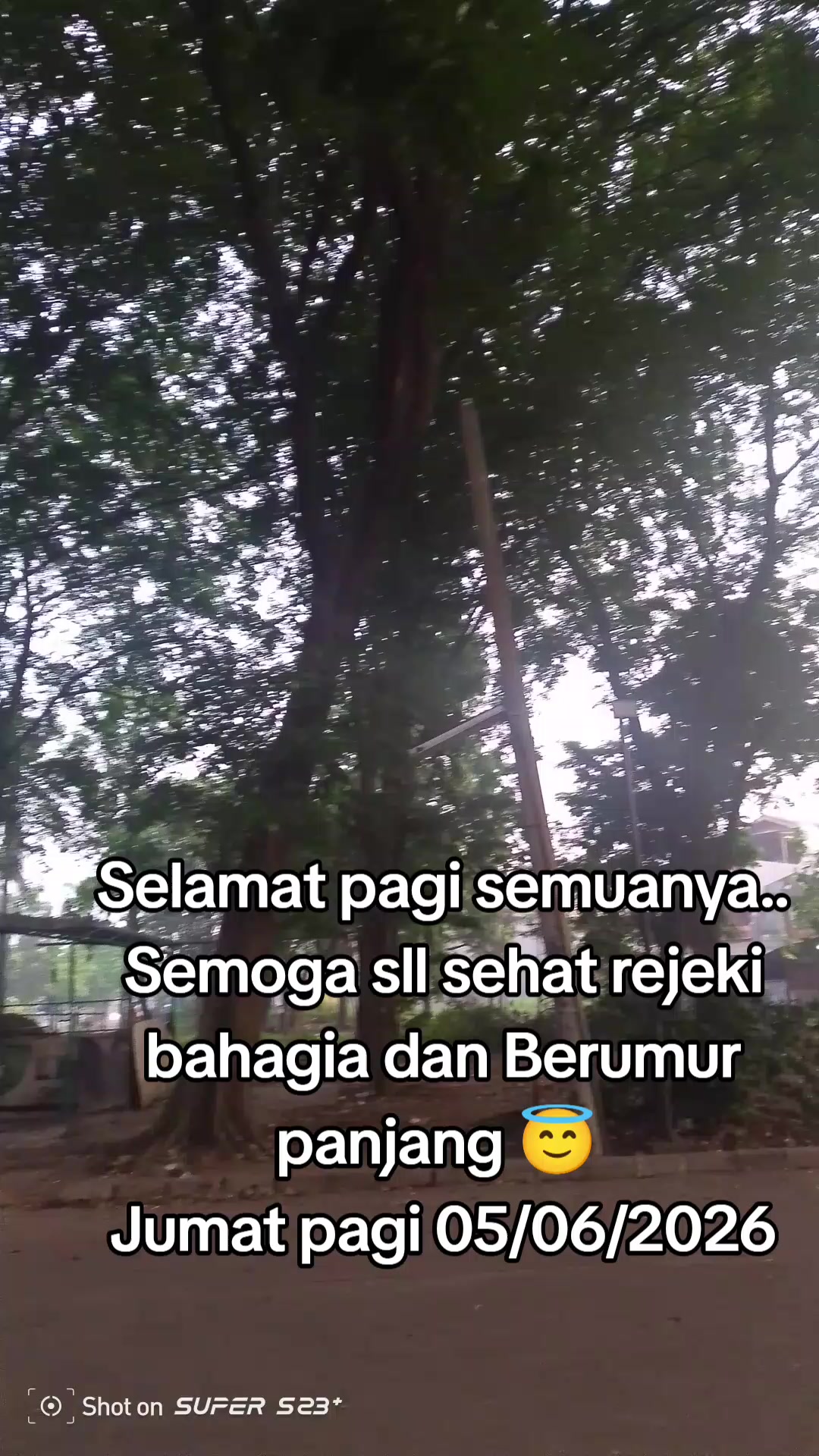 @Arfan Lauw73
