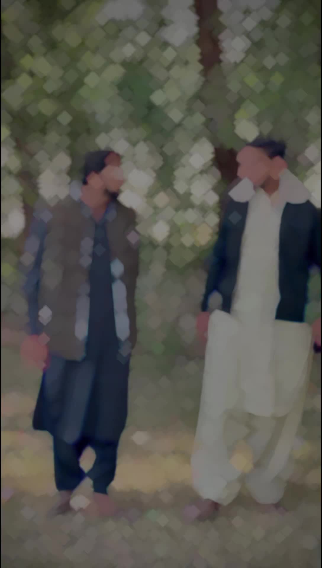 @Muhammad Ali Arain آرائیں