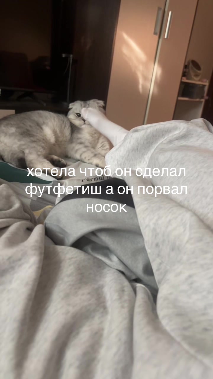 @тгк лесюша
