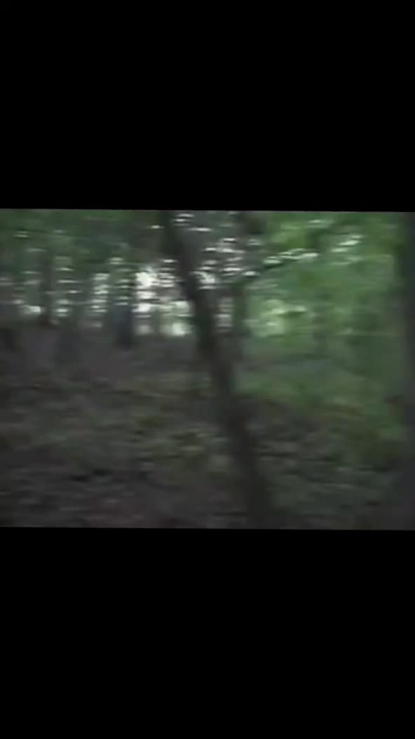 @YZMNZTR ALT