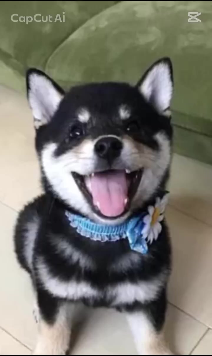 @ใชใใญใผ๐