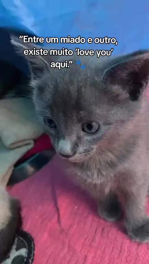 @taty_2803