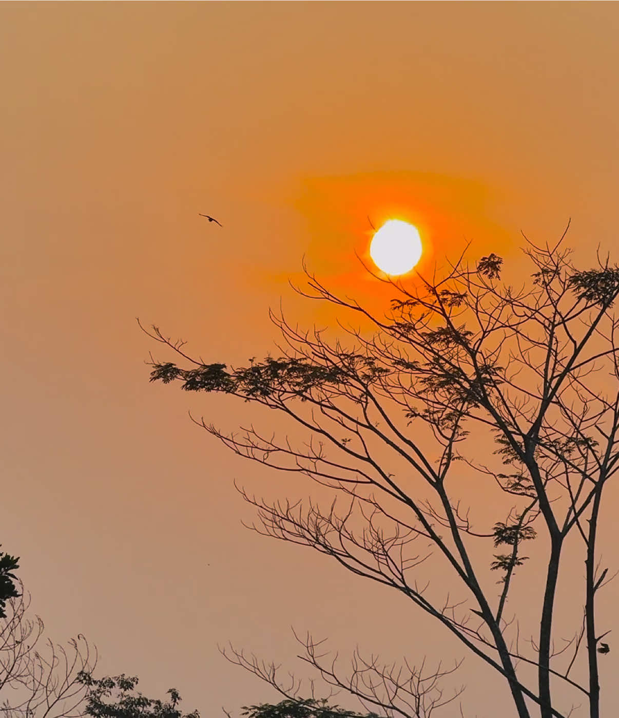 @প্রকৃতি 🍃