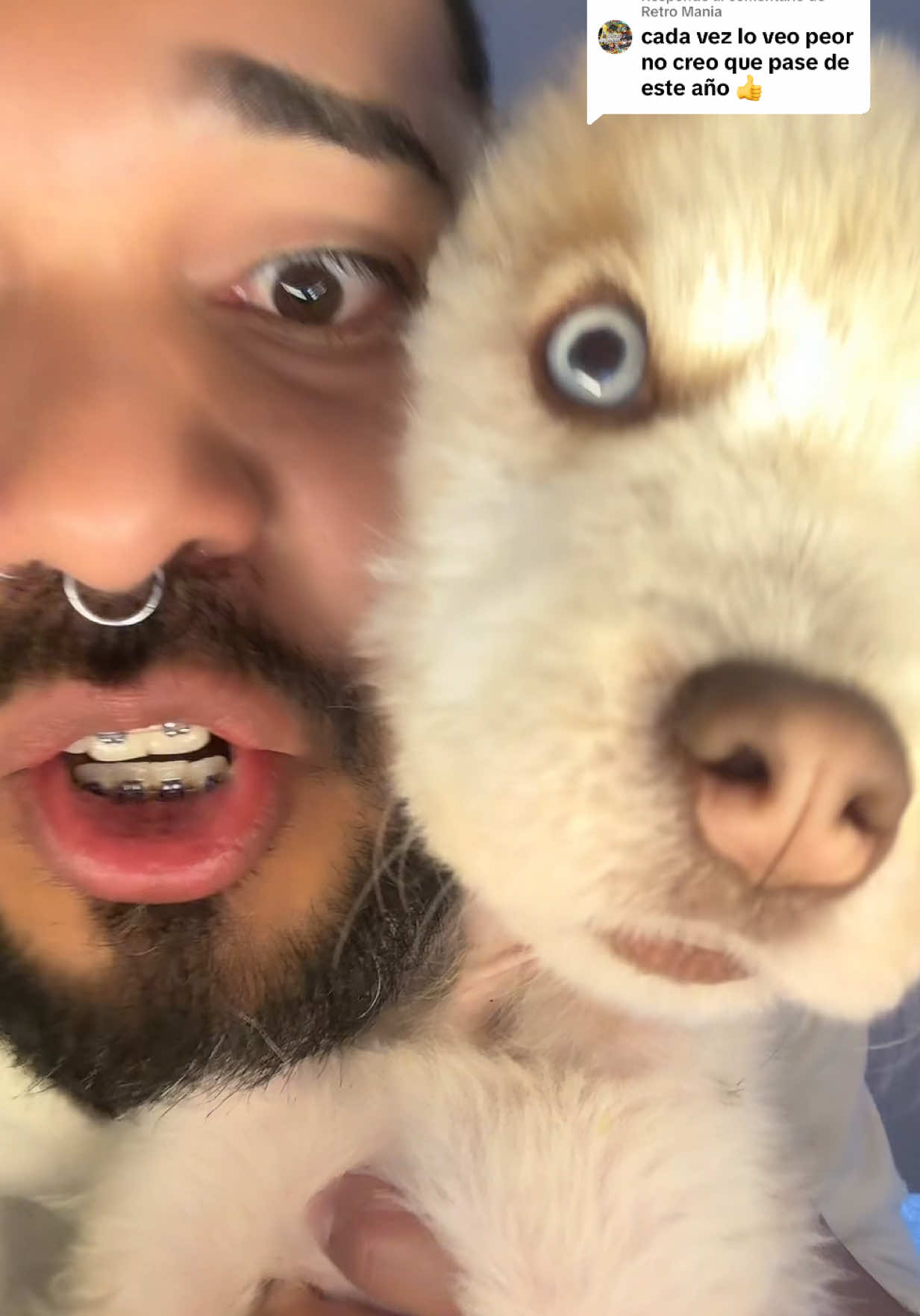 @🐺MiFamiliadehuskies🐾