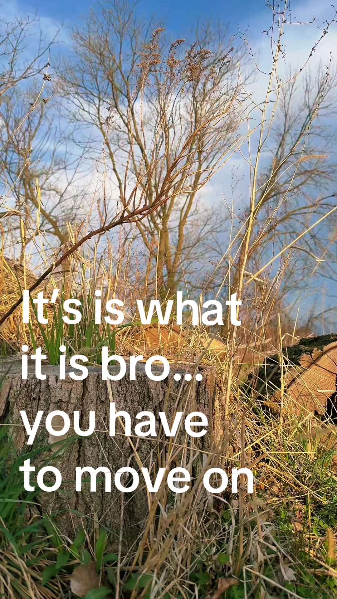 @ZachM249414