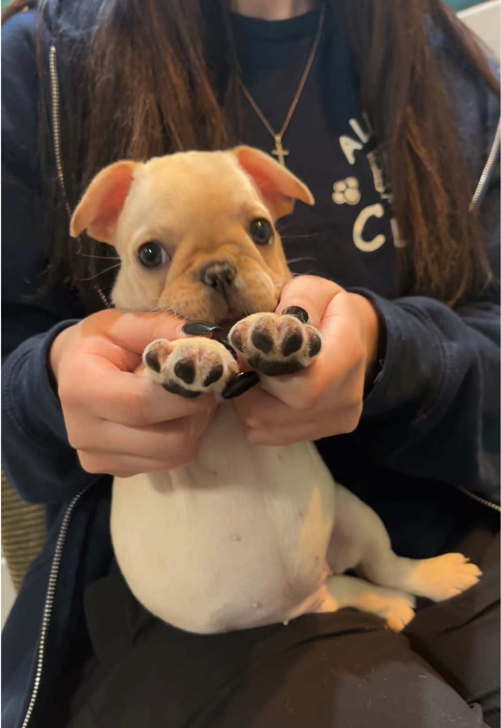 @All Pets Club