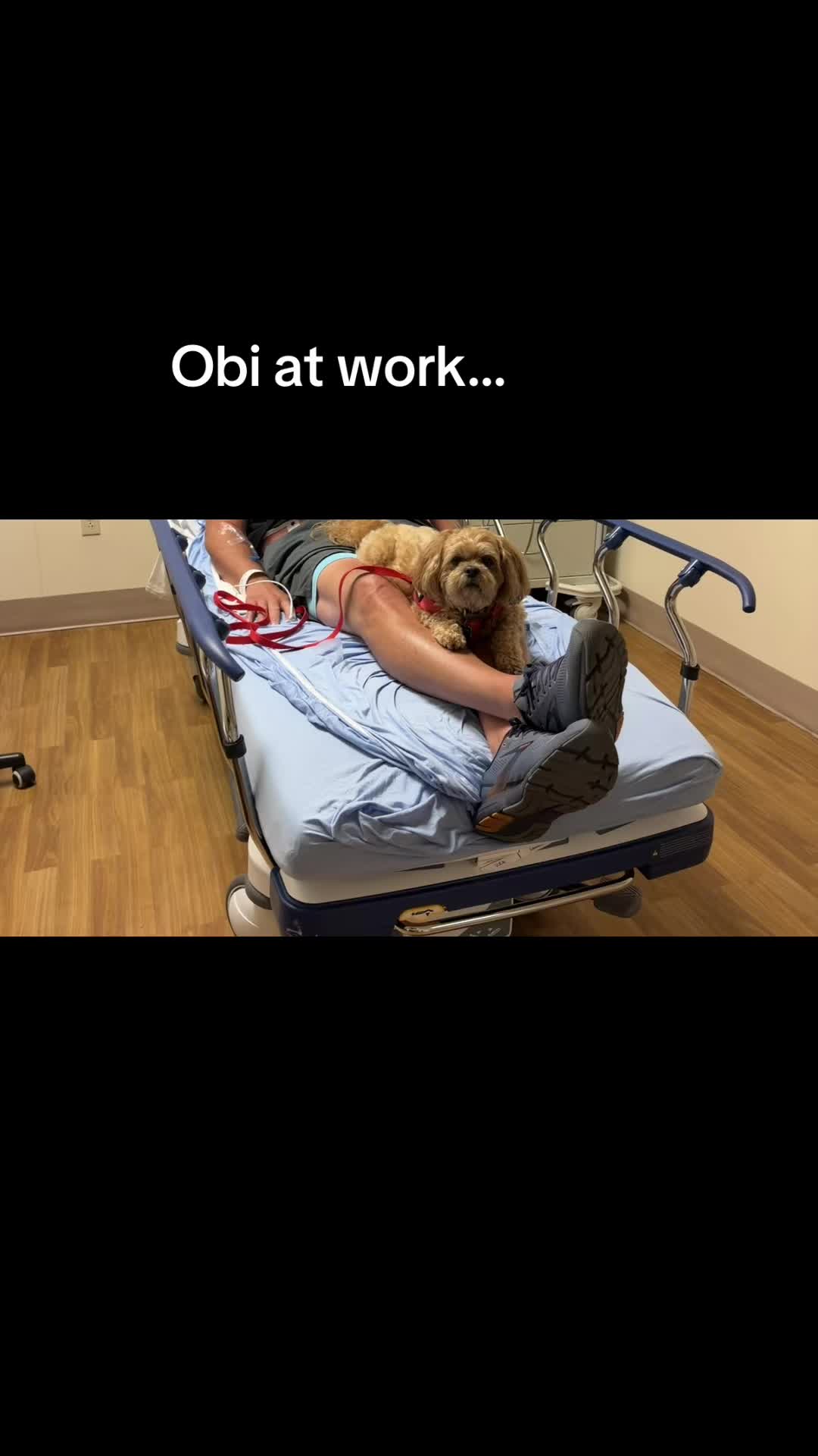 @Obi