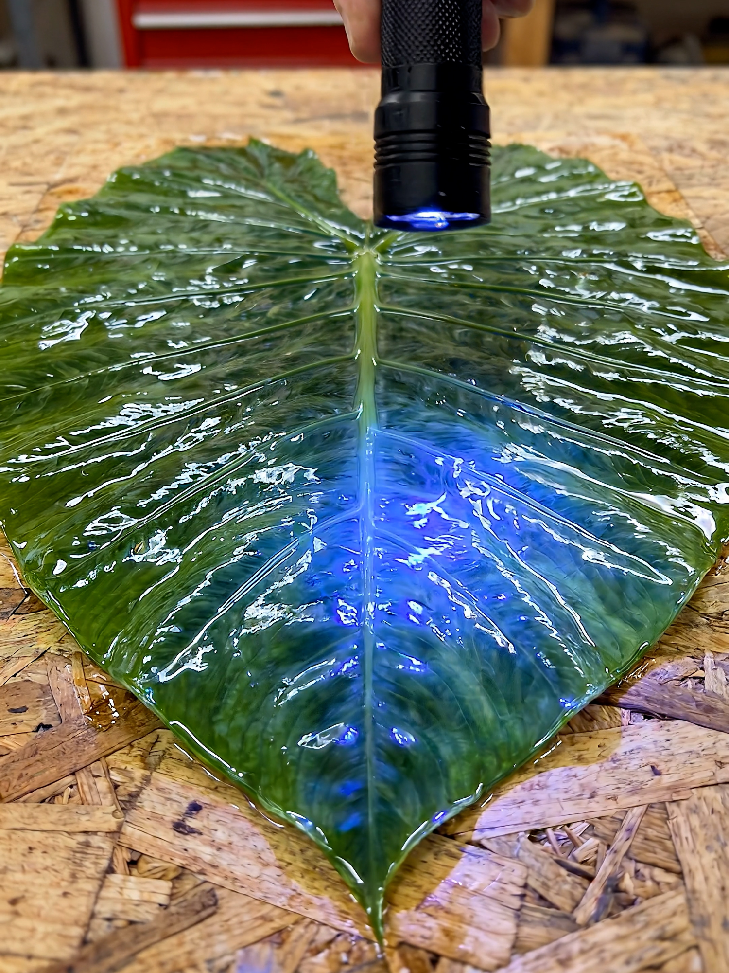 @DIY & Crafts