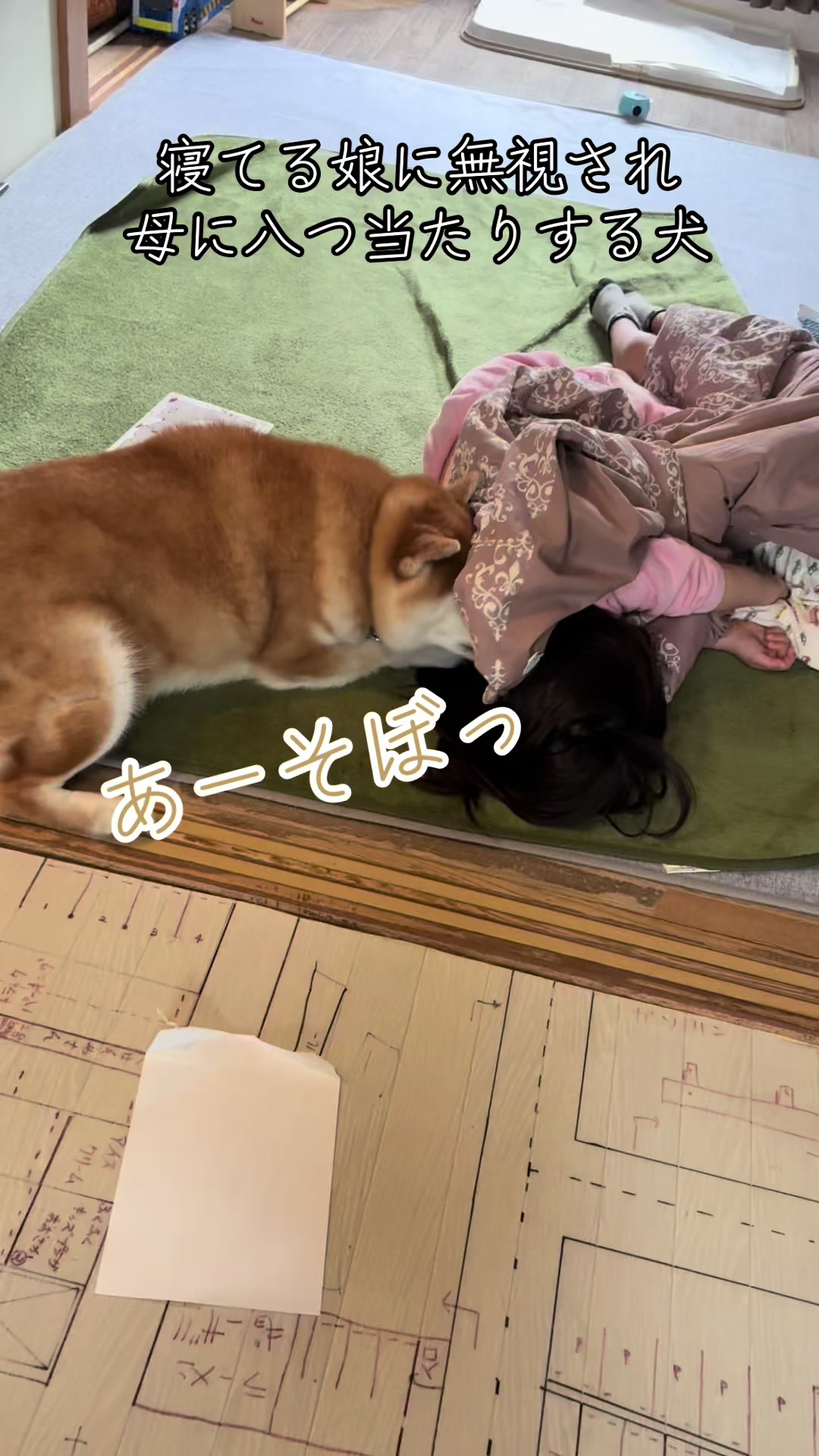@nana0209 🪽🥴