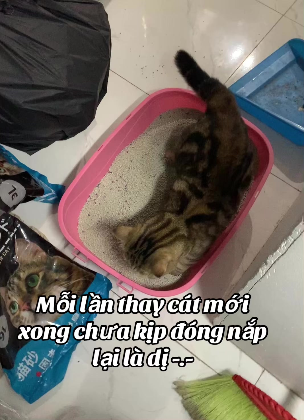 @babiGon