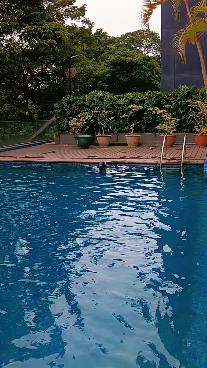 @Tr Thaephyu Aung Swim Coach