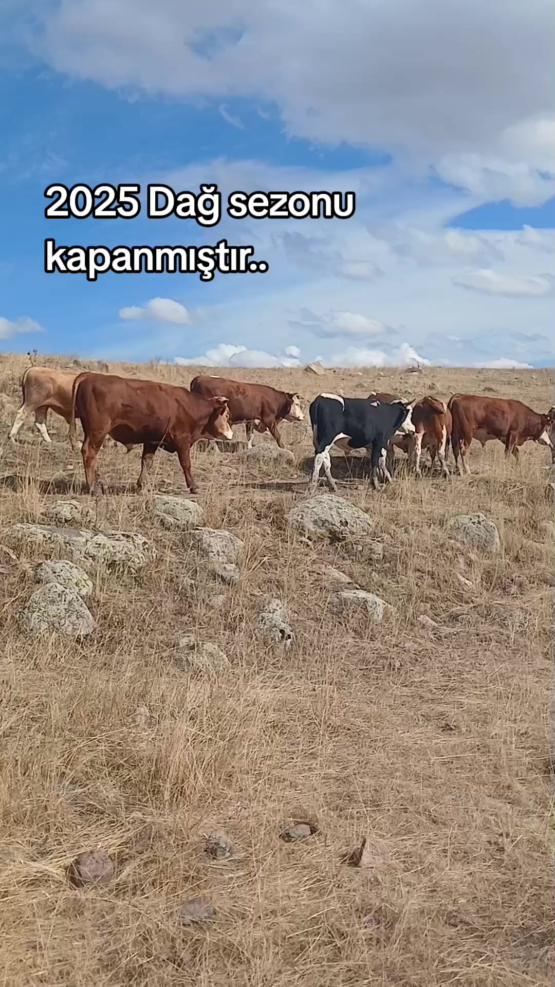 @Gökhan Çoban