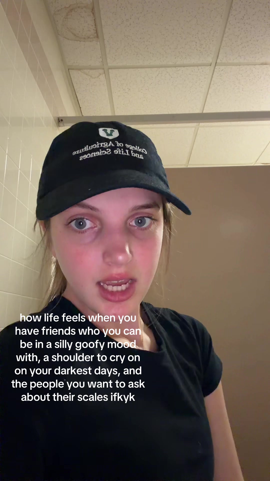 @the.bug.story