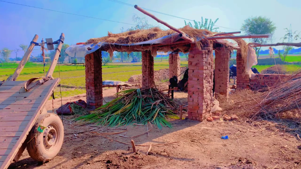 @میراپنجاب🌾🌞🌳
