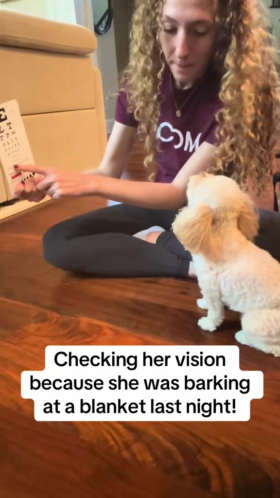 @LilFitPrincess