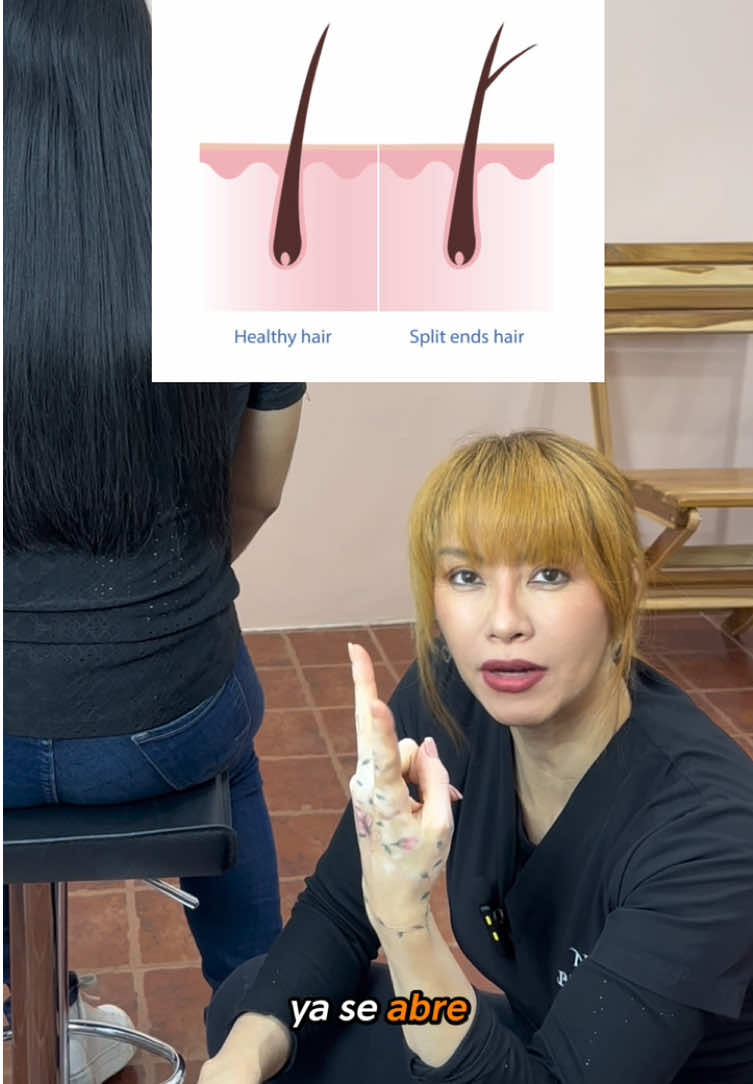@novabeautyec