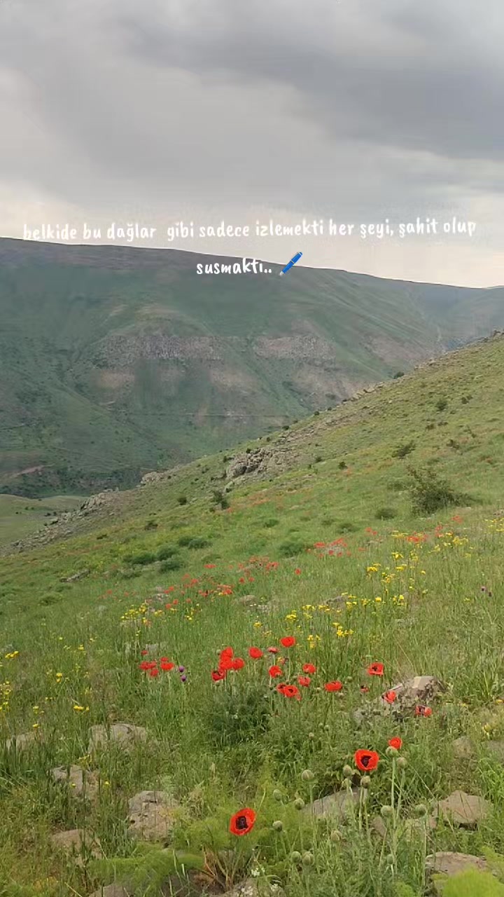 @fecriÇ