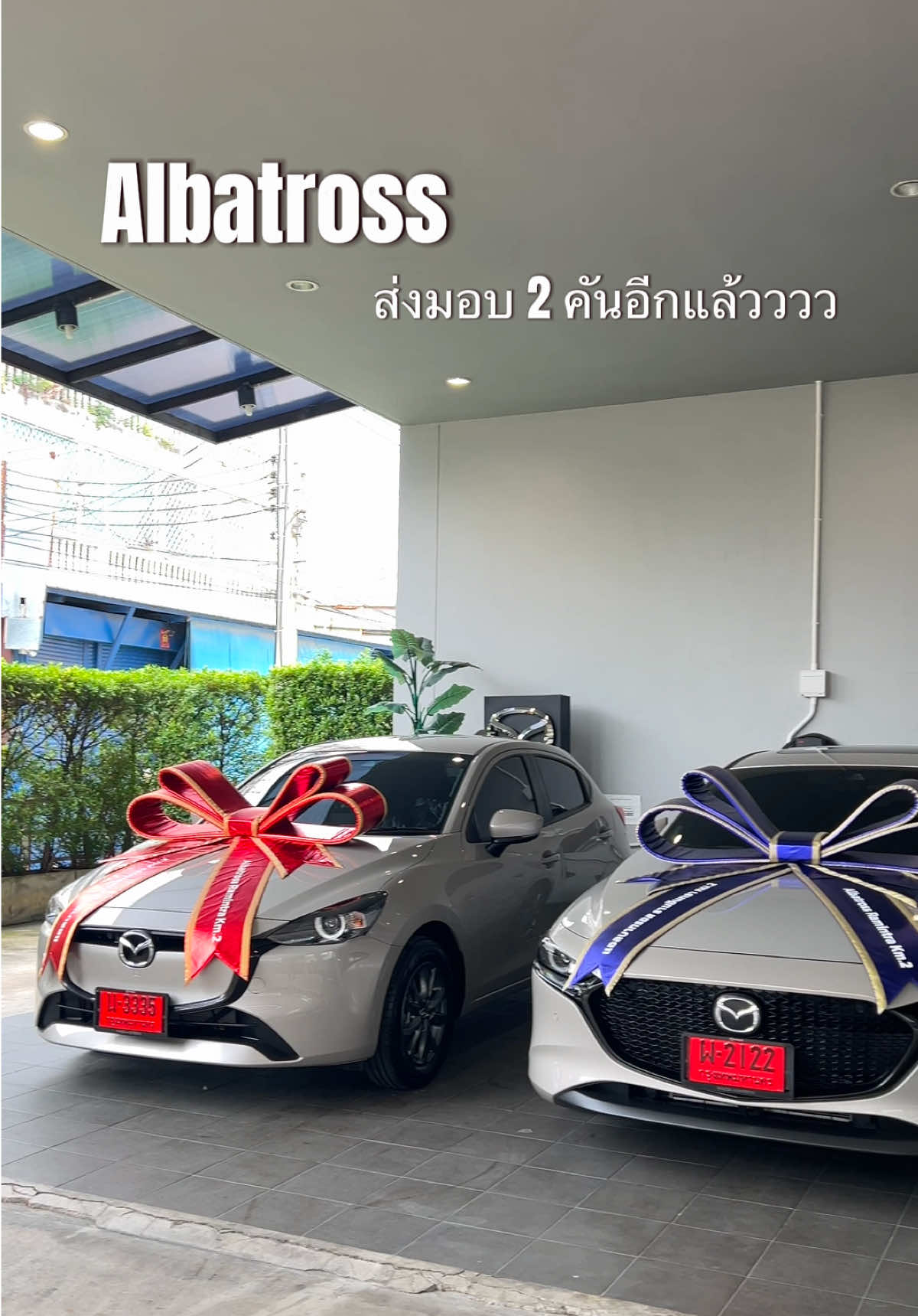 @Nut Mazda Albatross