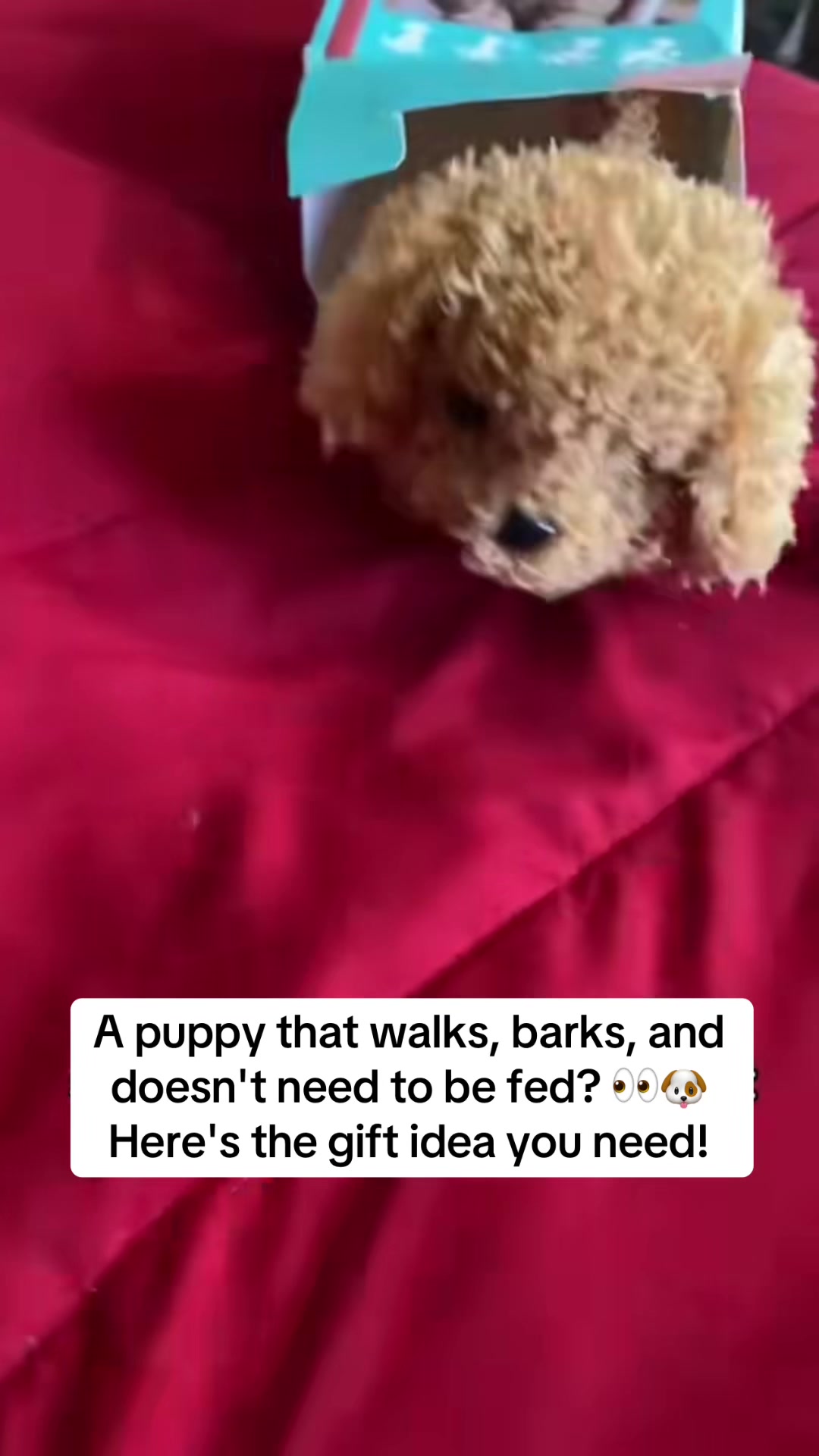 @Porscha & Bree