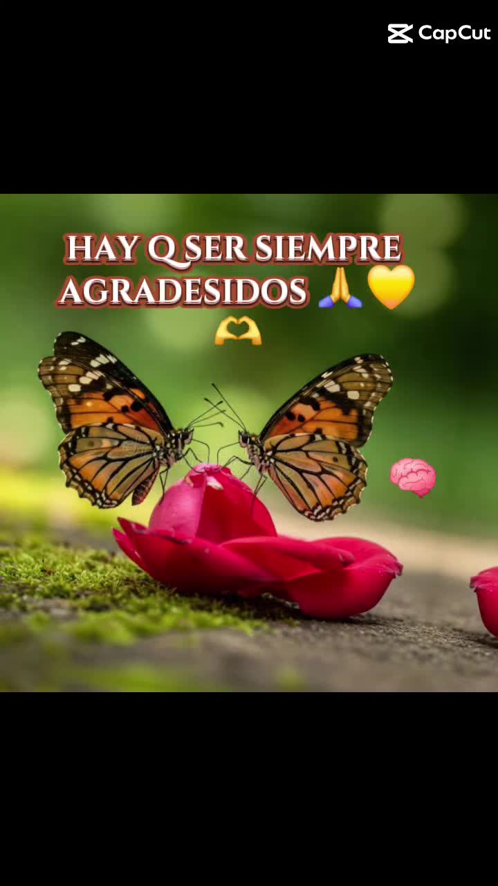 @osiris herndz.osi👯&zwj;♀️👑🎤🍪
