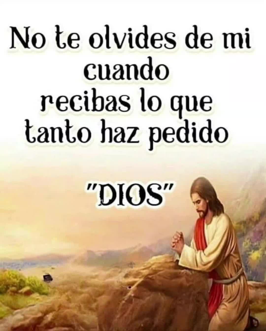 @Sonia M