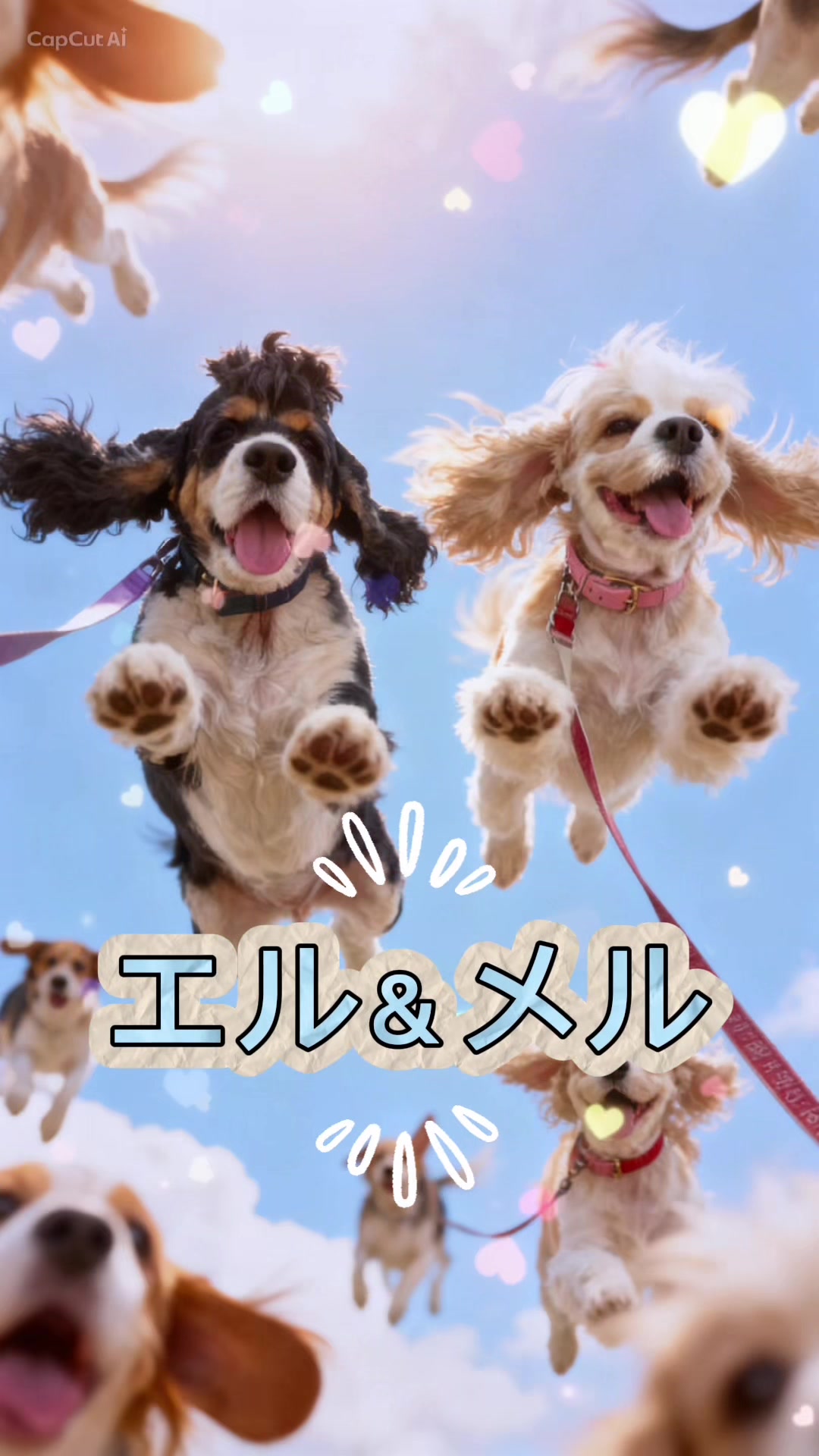 @じゃんけんぽん太🇬🇧🐶🇺🇸💎