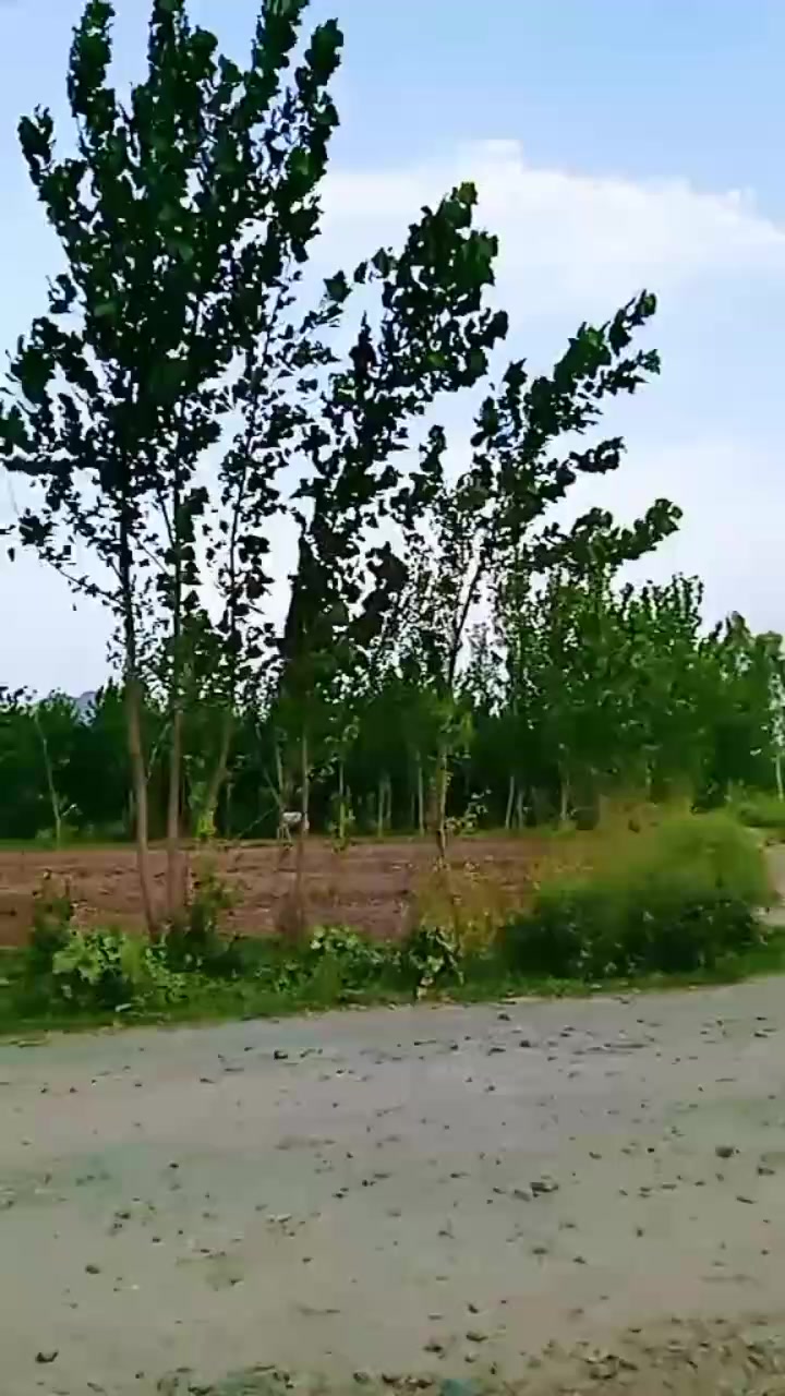 @Asad5576