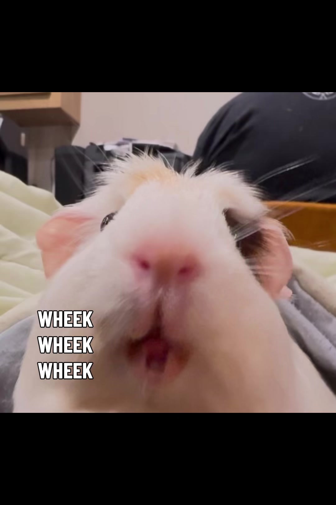 @l3ootyTicklez