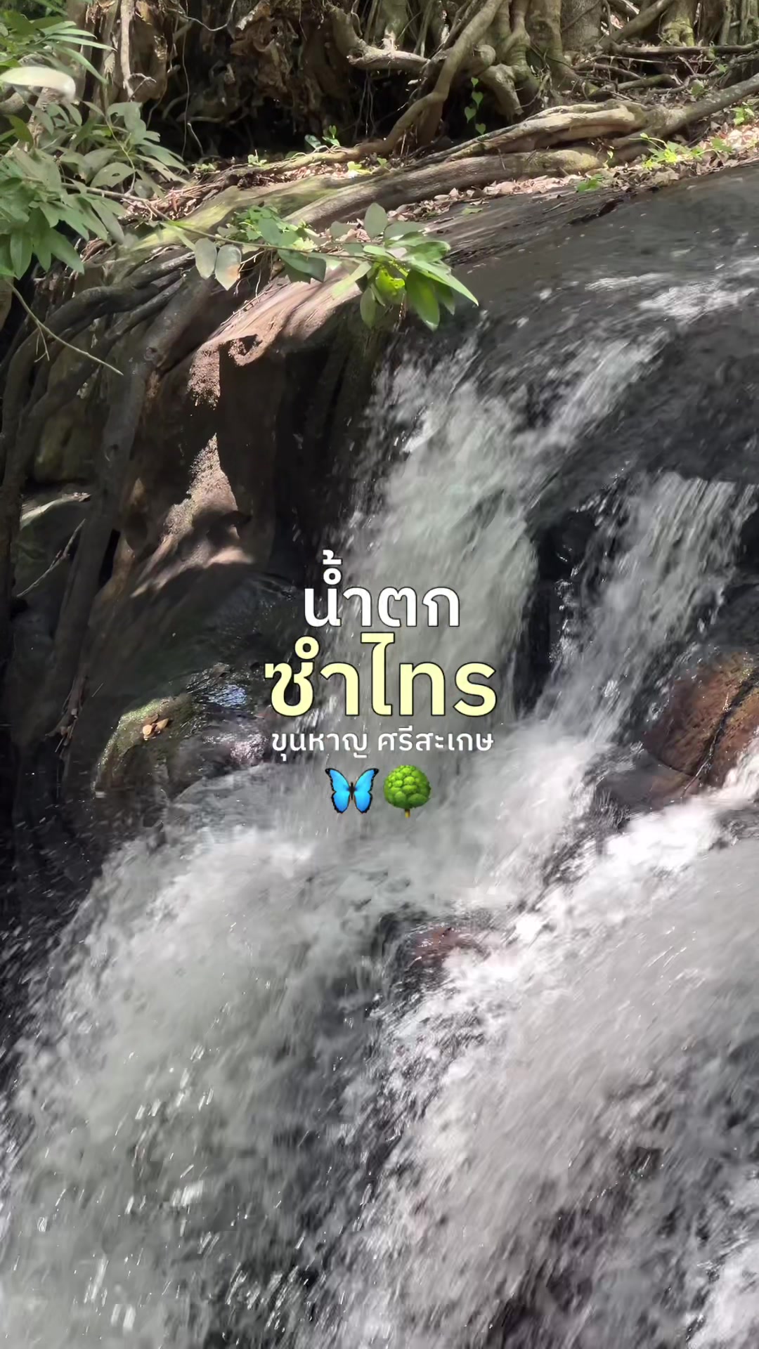 @พันฝา