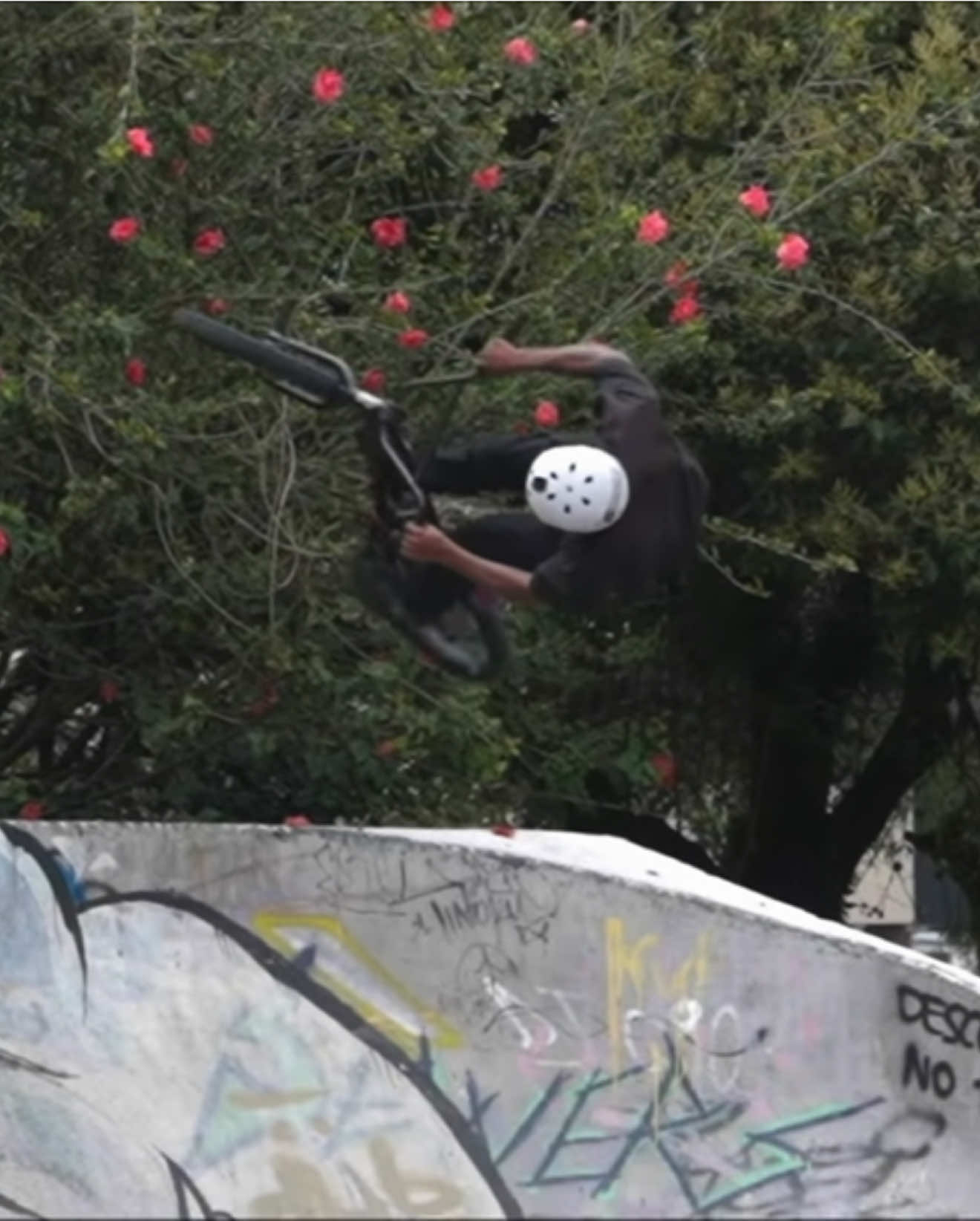 @00Anthony Lara bmx00