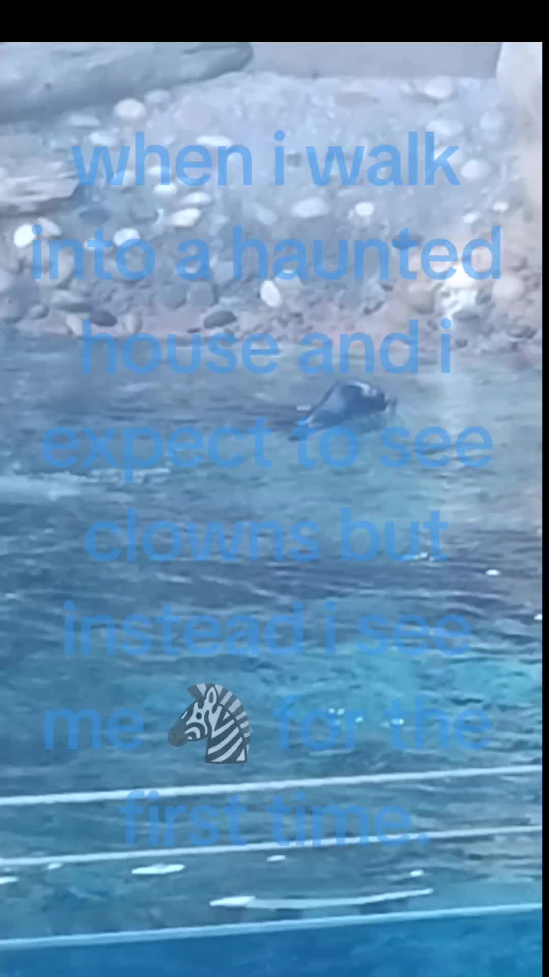 @🦓🐘.