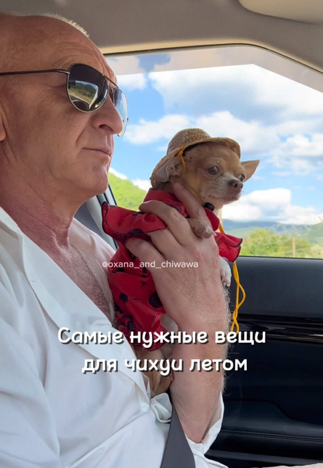 @Оксана & Чихуахуа Бонита