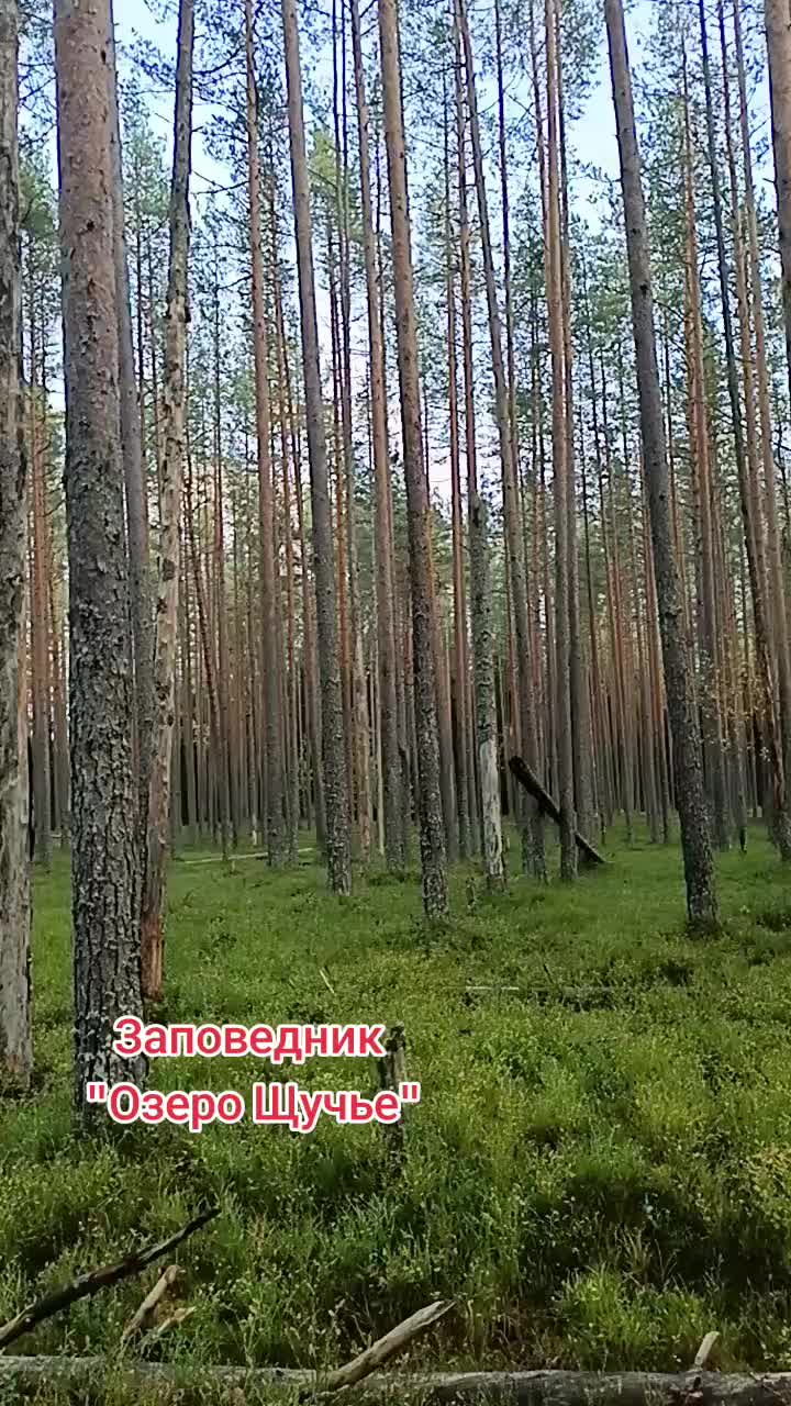 @user2278096979685