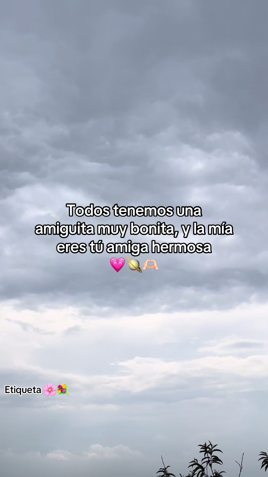 @Cruz ☘️Frases