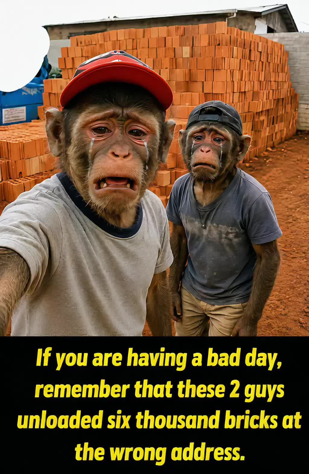 @Laugh