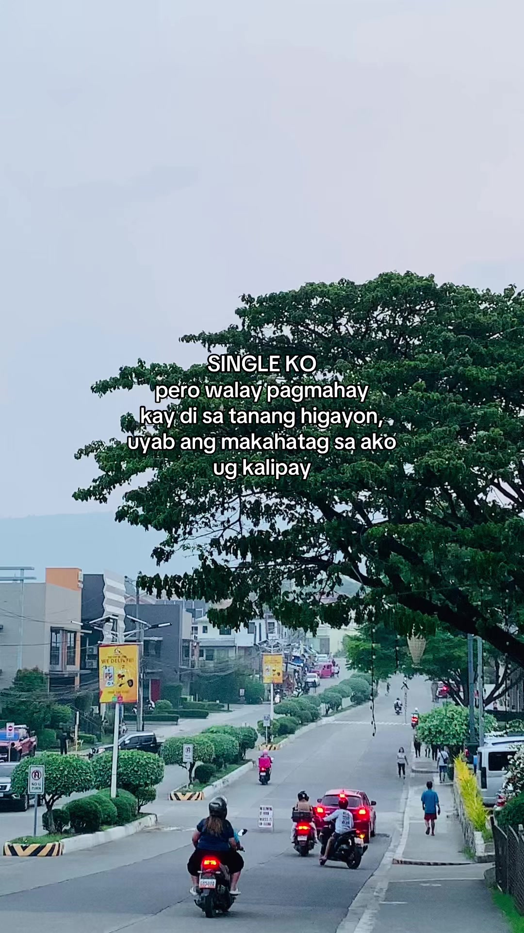 @MR.PISCES