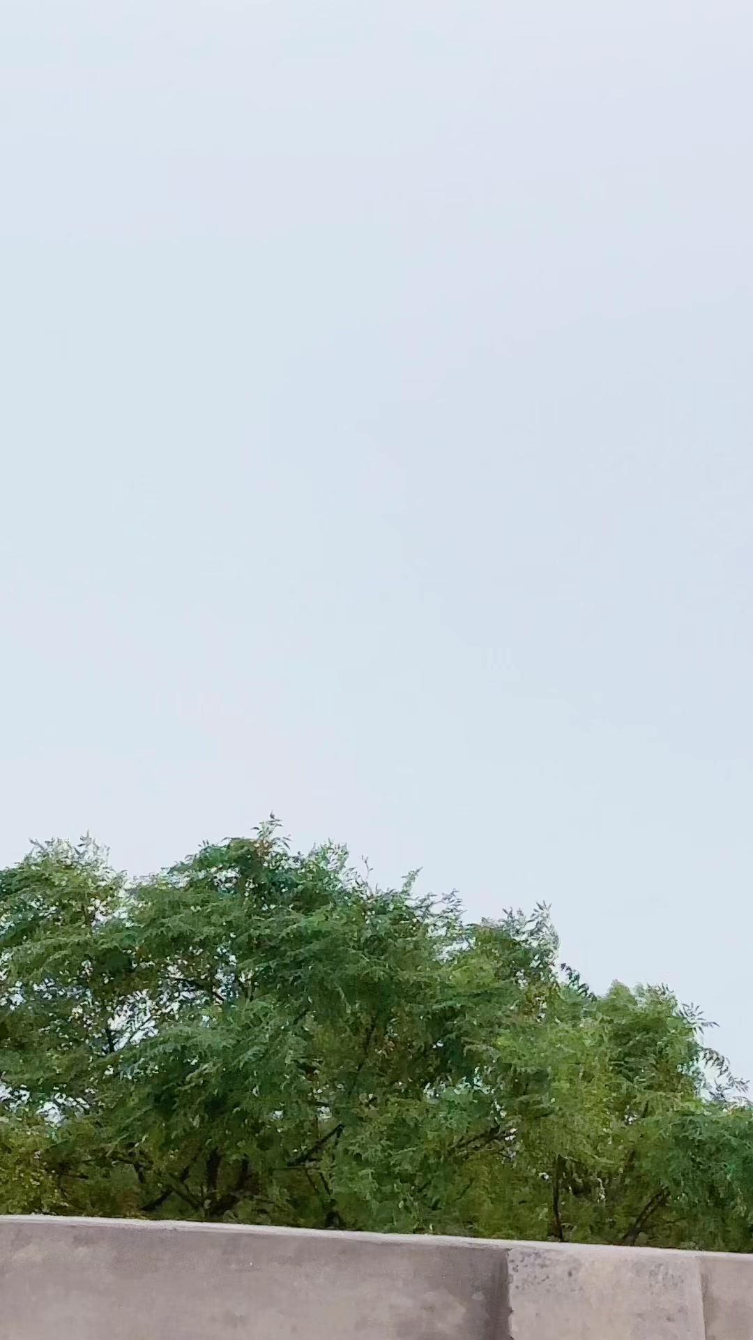 @Mjunaid