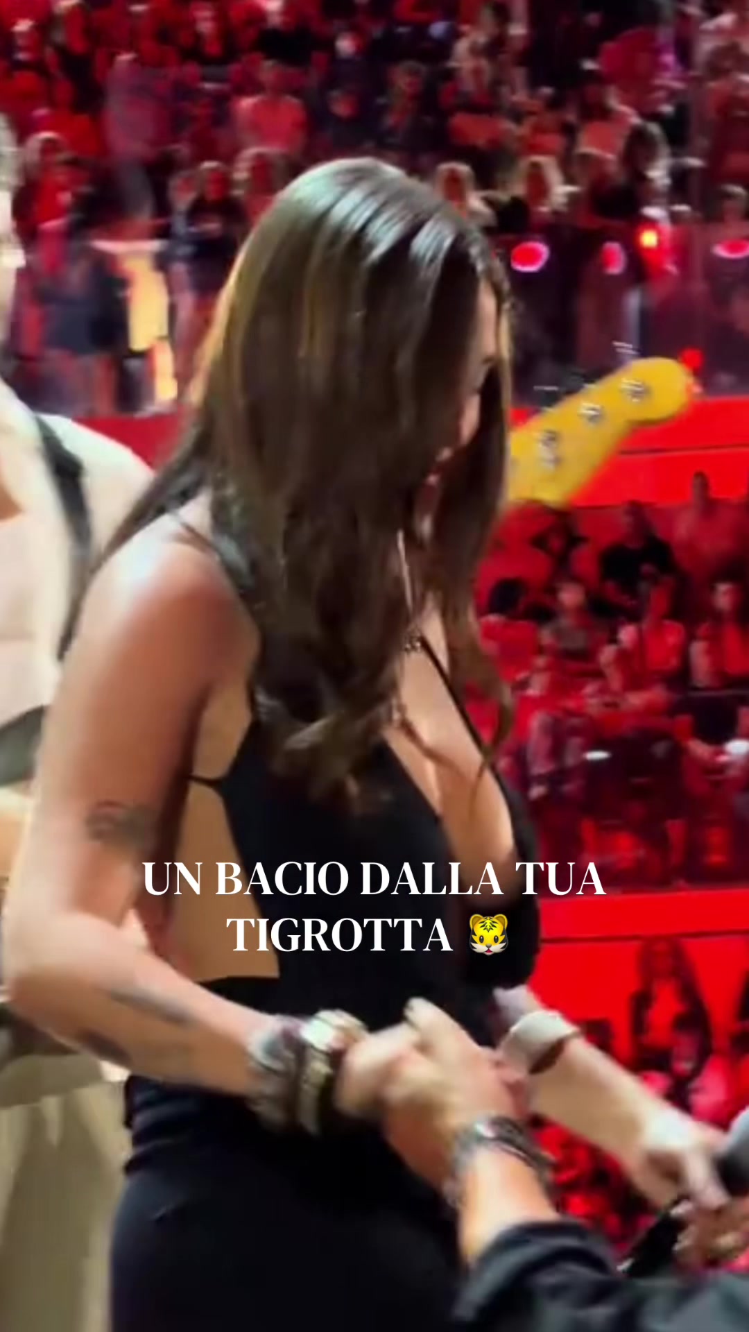 @IL FANDOM DI GG📲