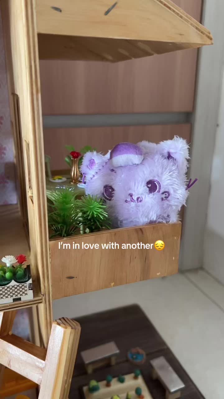 @maemae🐈⬛