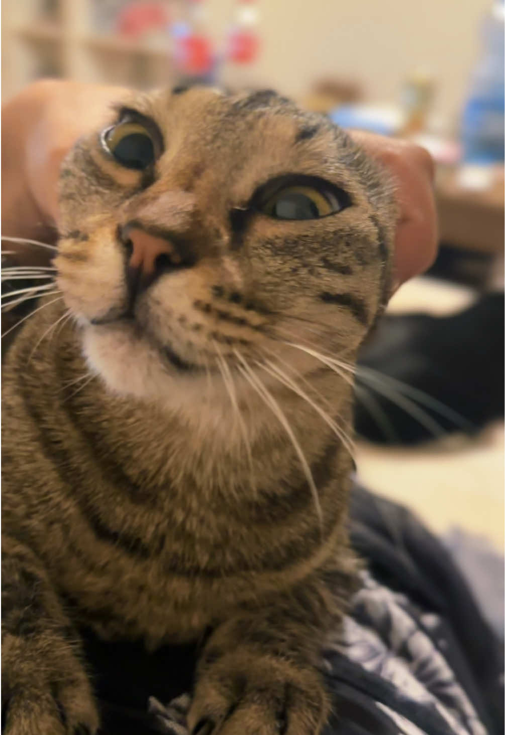 @cosanostrapurr