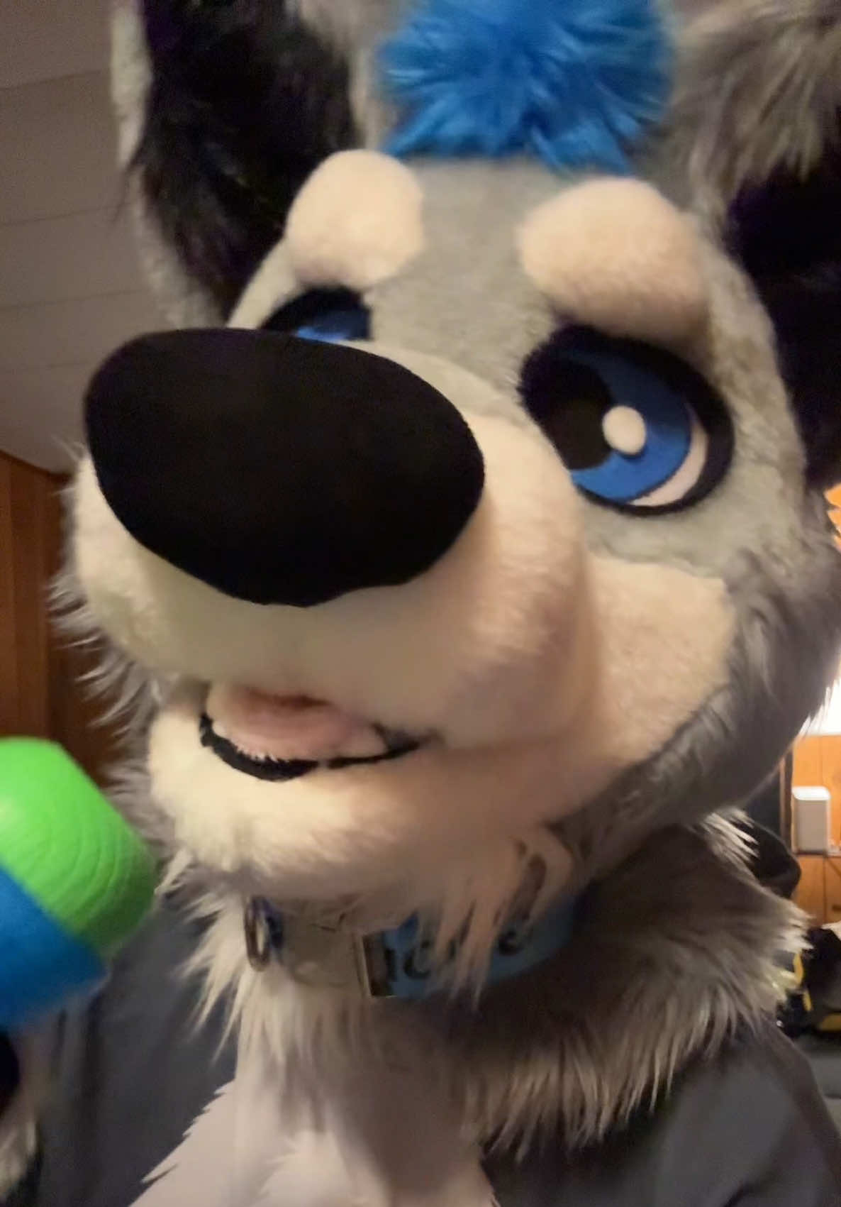 @BlueSilver_Wolf