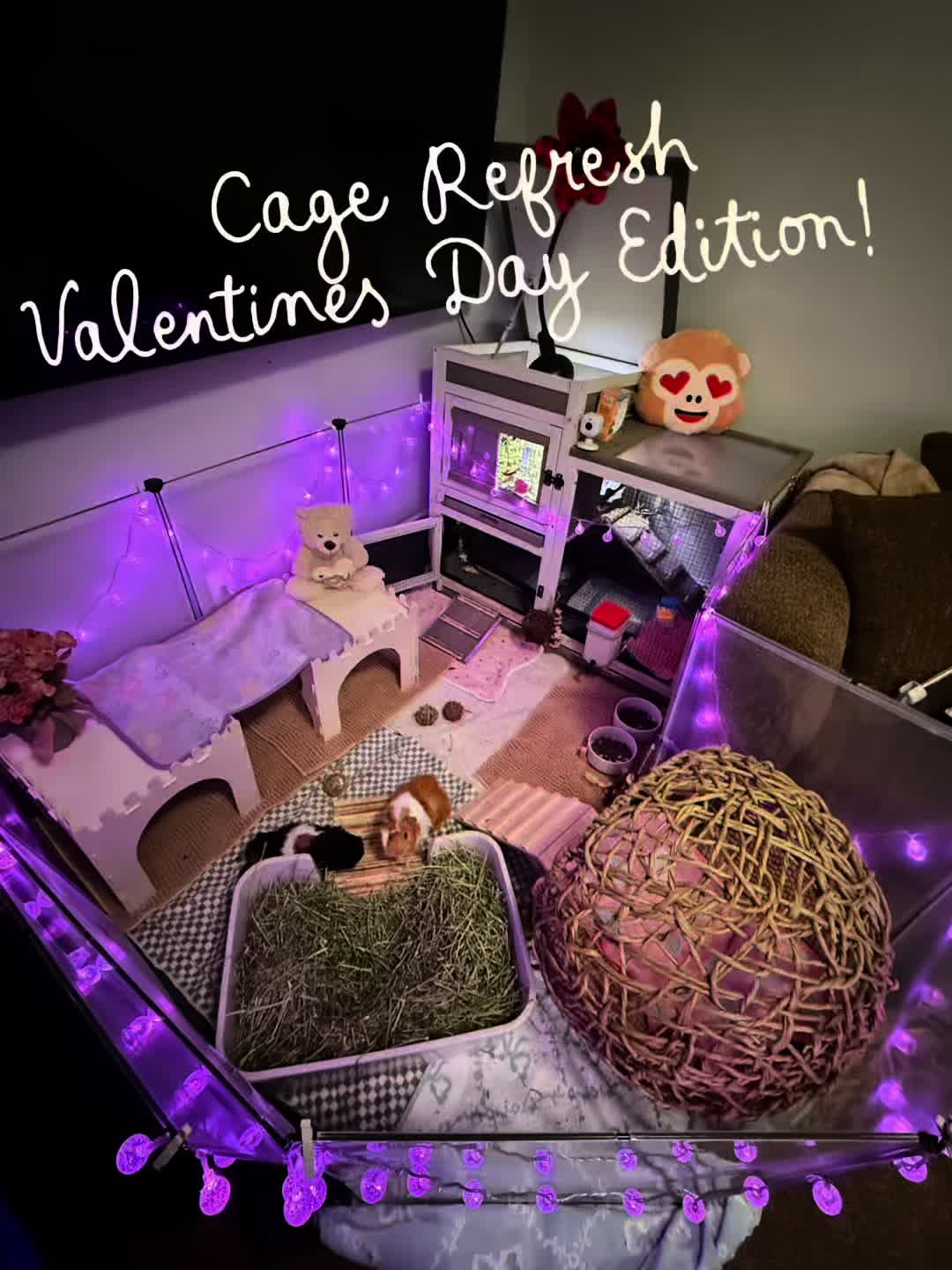 @Bear&Beau