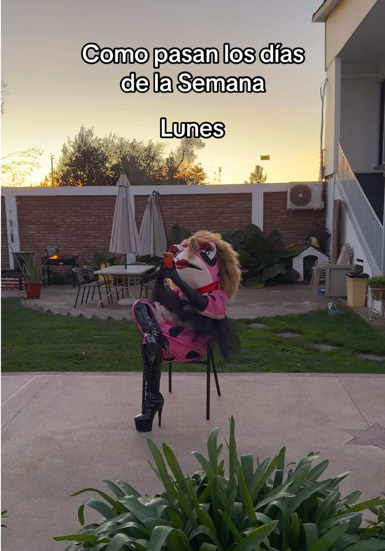 @Las Anfidivas