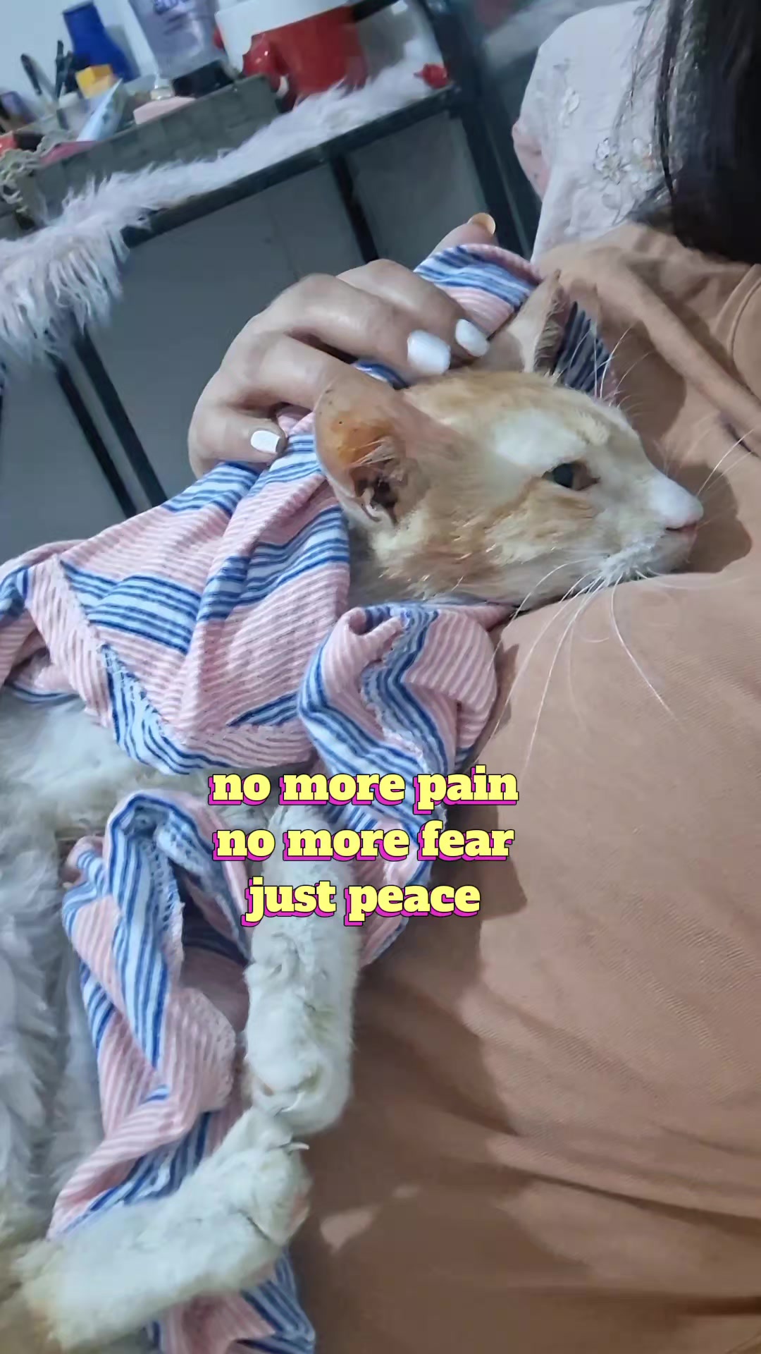 @mylharescues