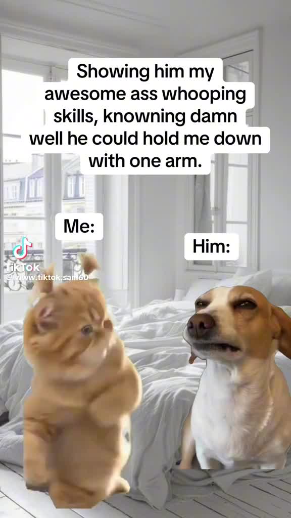 @BOO BOO KITTY