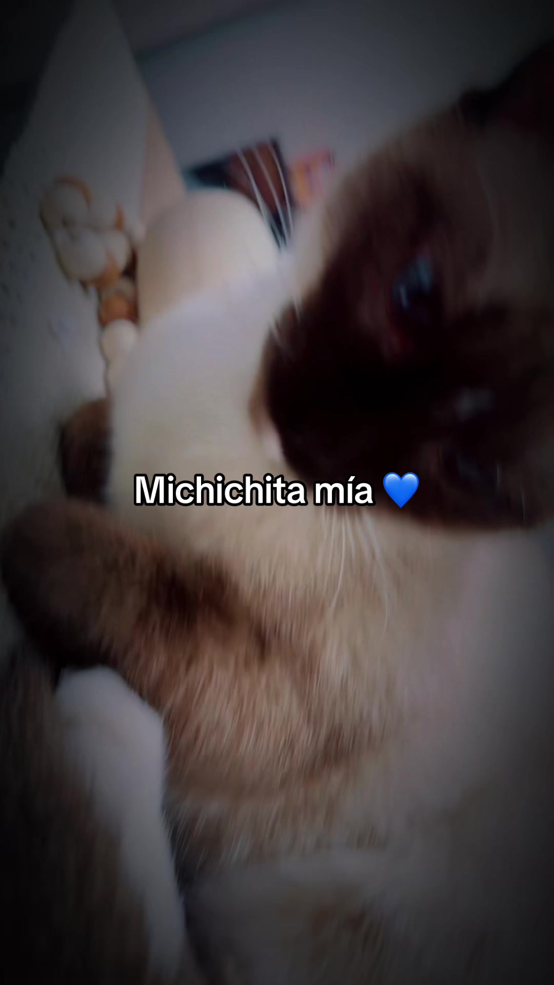 @MargaritaImperio 💜💙🏳️🌈👑