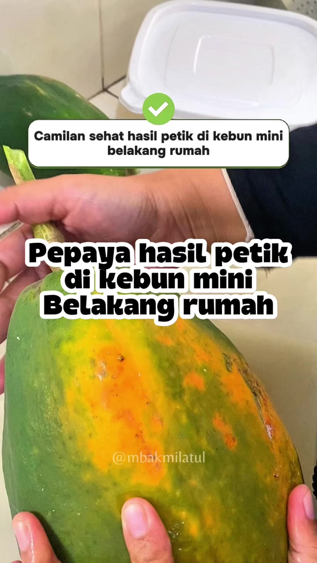 @mbakmilatul