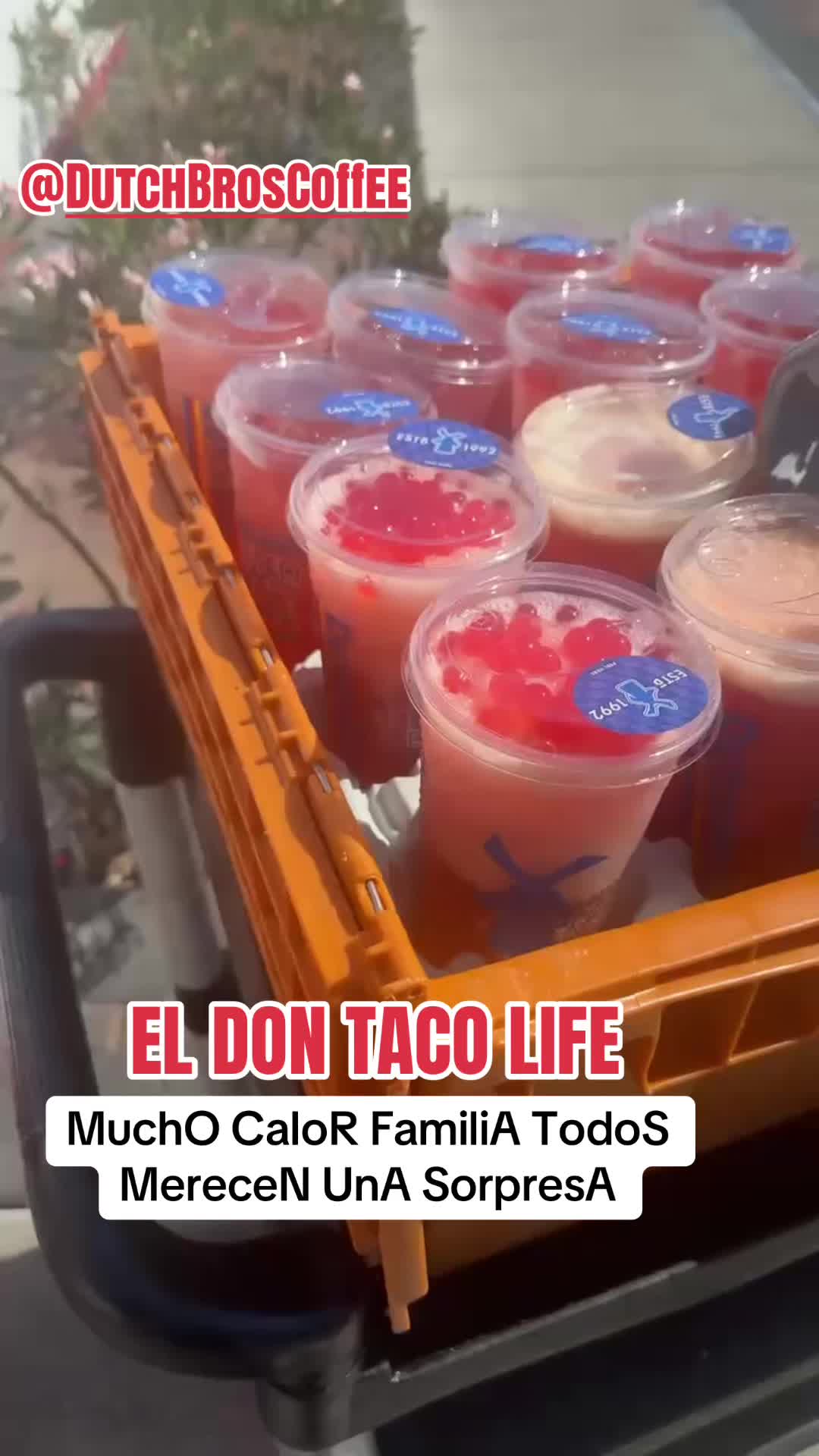 @CASA DEL SABOR EL DON TACO