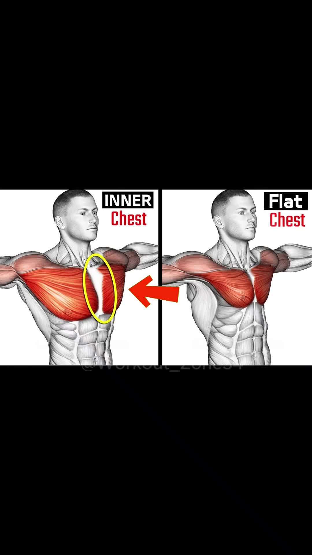 @workout_zone34