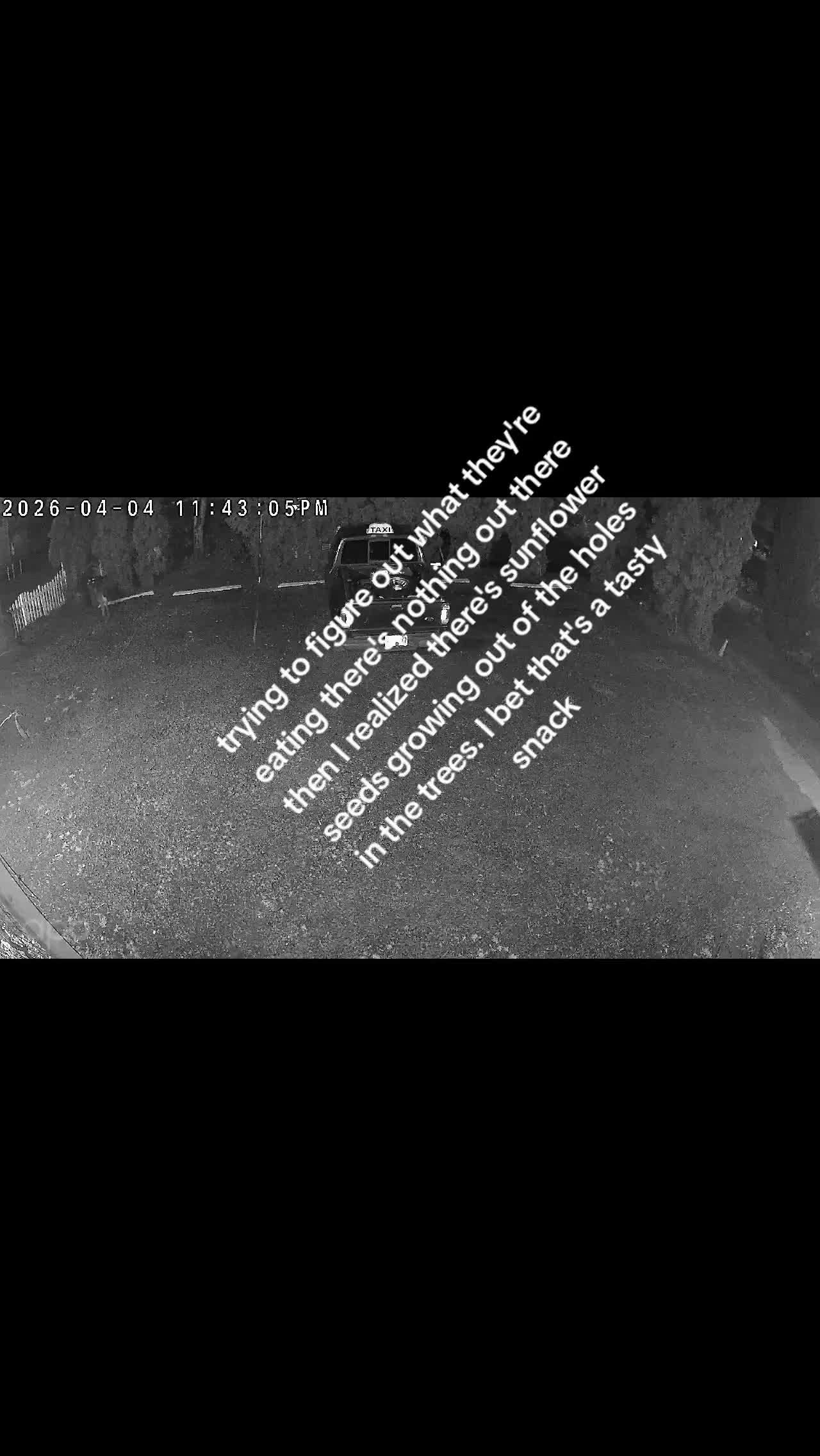 @Sean.Greiner_Silverton.Or